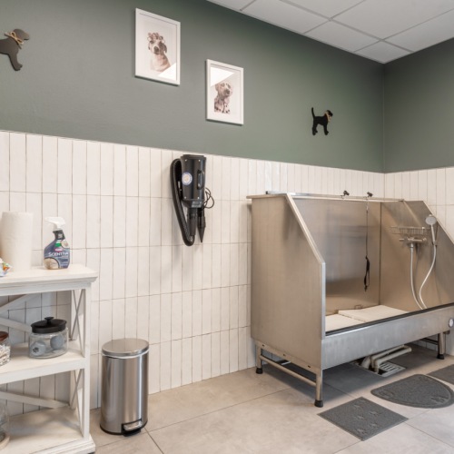 Dog Wash Dog Wash